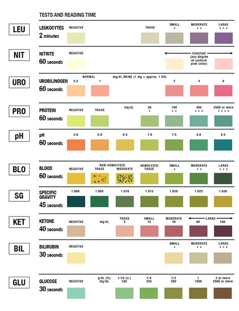 urinalysis bottle test strips|siemens urine test strips chart.